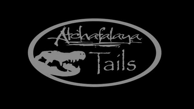 Alligator Hunting In The Atchafalaya ...