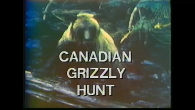 Grizzly, Mule Deer and Polar Bear Hunts