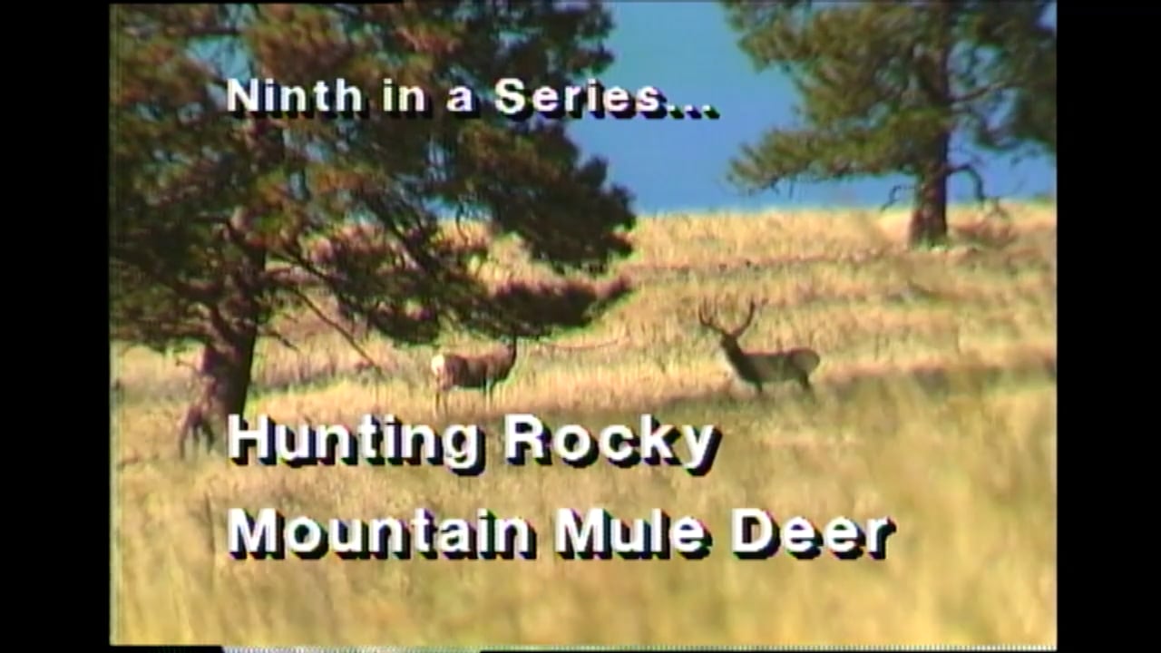 Hunting Rocky Mountain Mule Deer