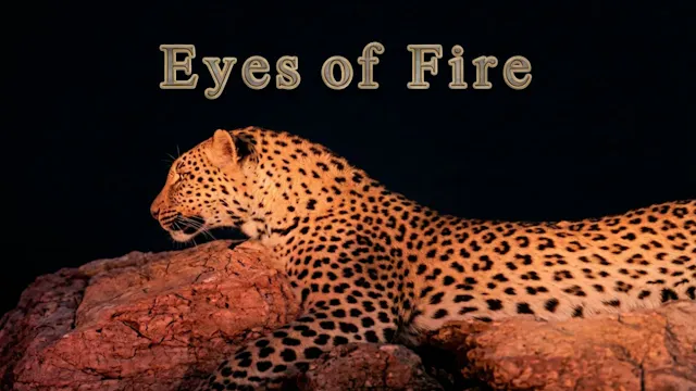 Eyes of Fire