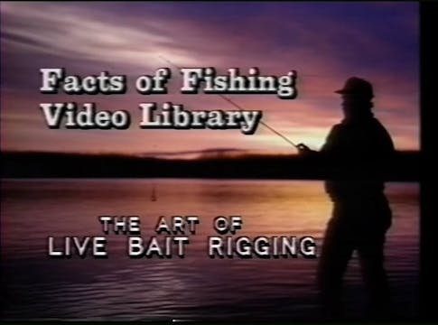 The Art of Live Bait Rigging