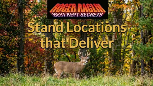 Stand Locations That Deliver