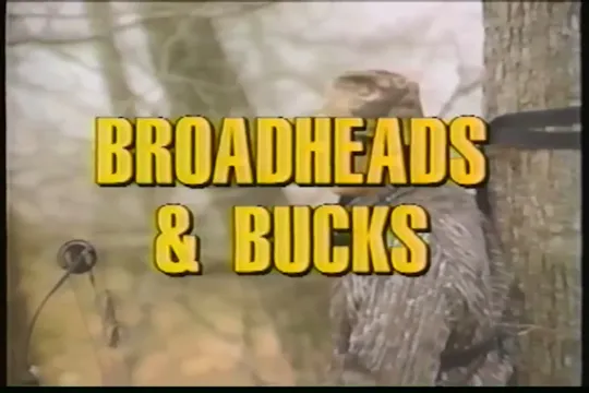 Broadheads and Bucks