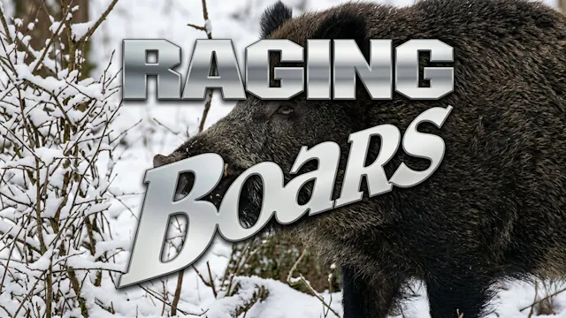 Raging Boars 1