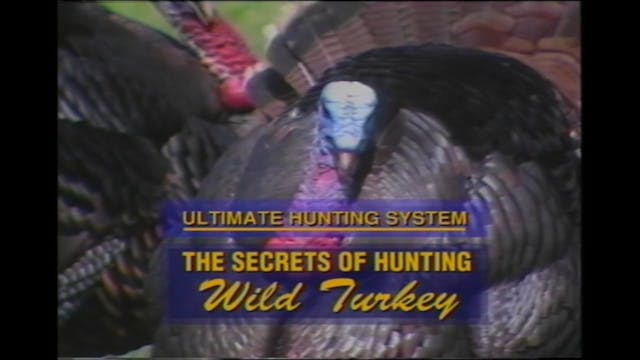 Secrets to Hunting Wild Turkey