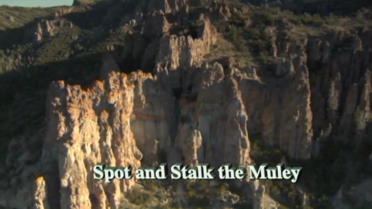 Spot and Stalk the Muley
