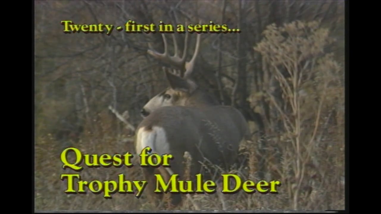 Quest for Trophy Mule Deer