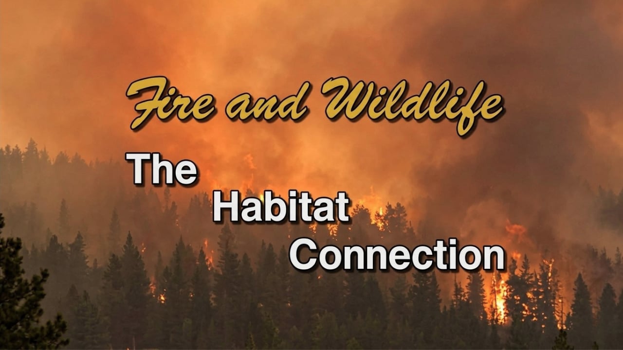 Fire and Wildlife