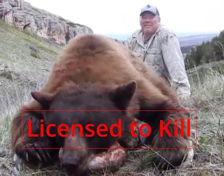 Licensed to Kill