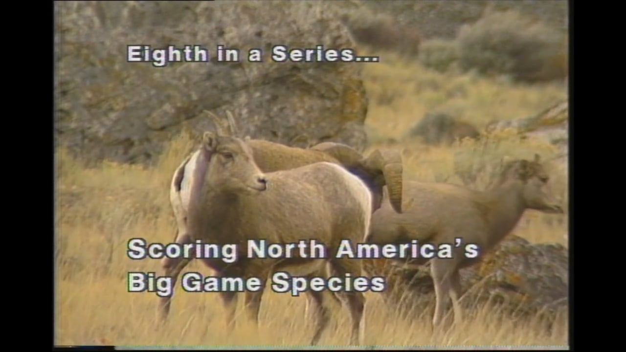 Scoring North American Big Game