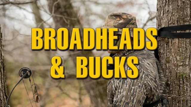 Broadheads and Bucks