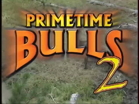 Primetime Bulls 2