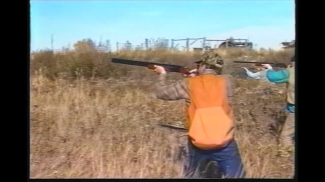 Secrets of Hunting Pheasants and Quail