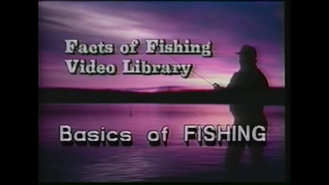 The Basics of Fishing