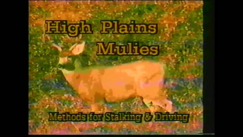 High Plains Mulies