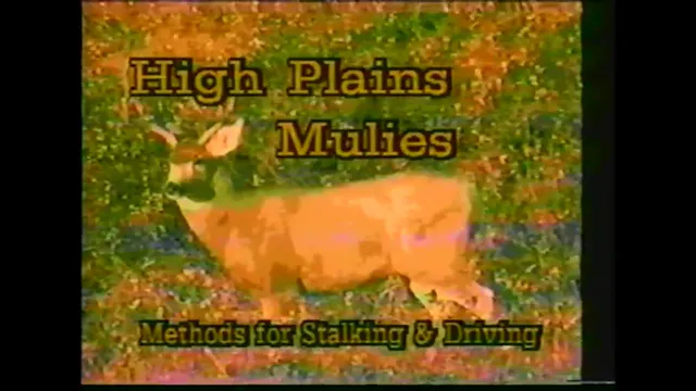 High Plains Mulies