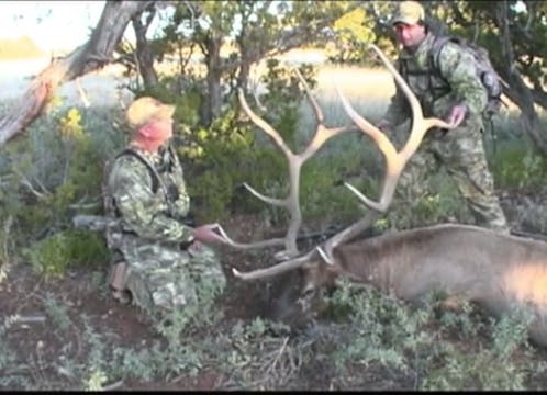 Bodacious Archery Bulls
