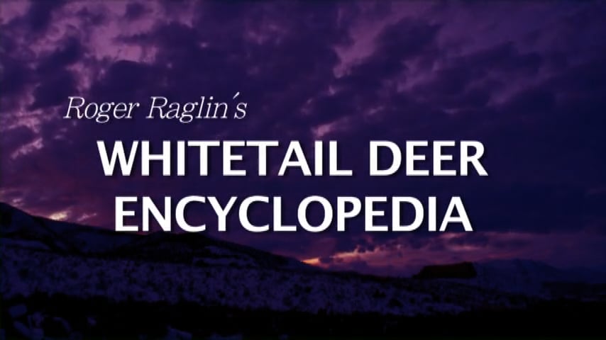 Whitetail Encyclopedia Part 1