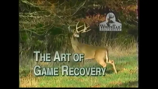 The Art of Game Recovery