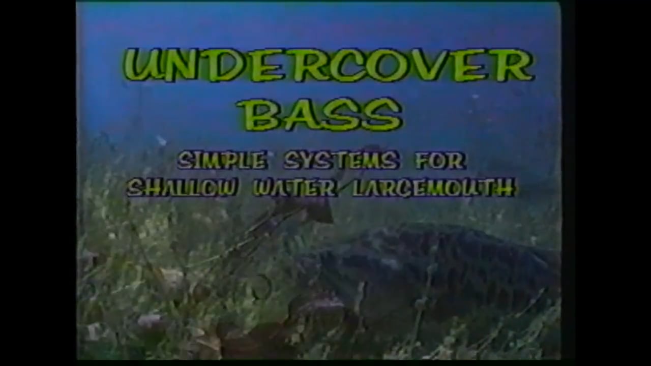 Undercover Bass