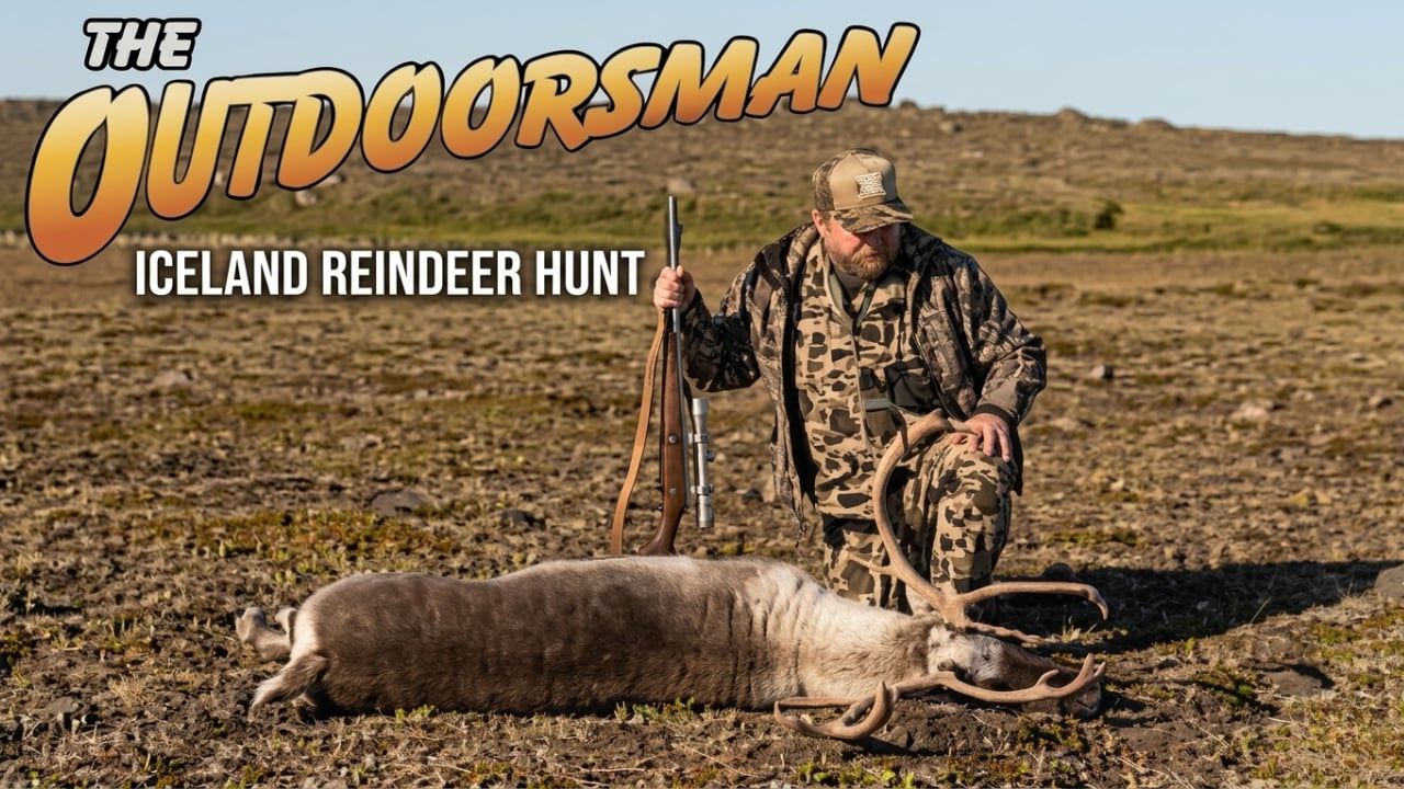The Outdoorsman: Iceland Reindeer