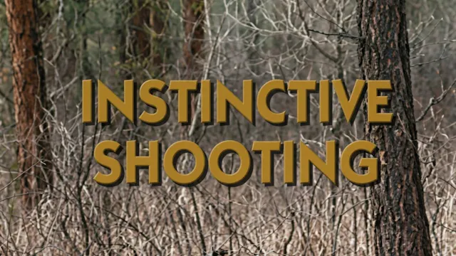 Instinctive Shooting
