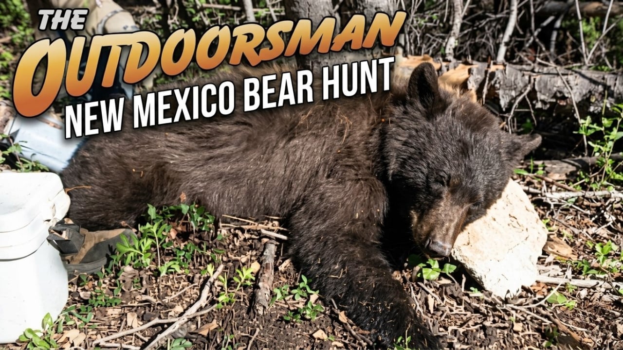 The Outdoorsman New Mexico Bear Hunt