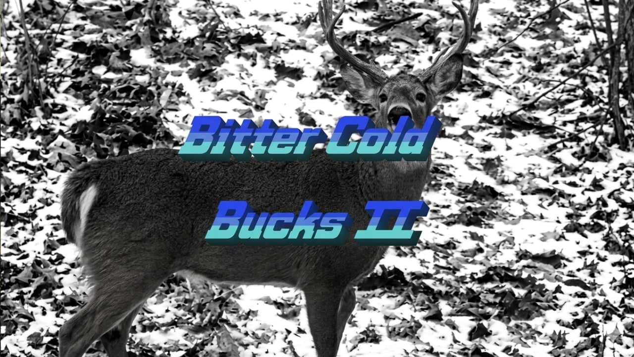 Bittercold Bucks II