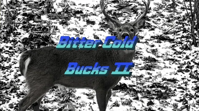 Bittercold Bucks II
