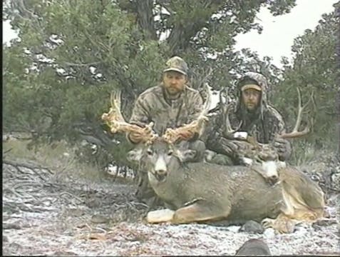 Muley Classics