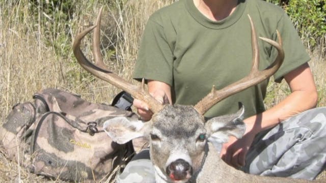 Hunting the Elusive Blacktail