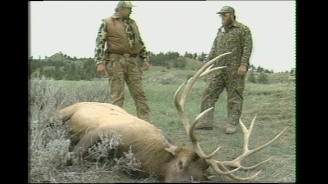 Caping and Field Dressing Big Game