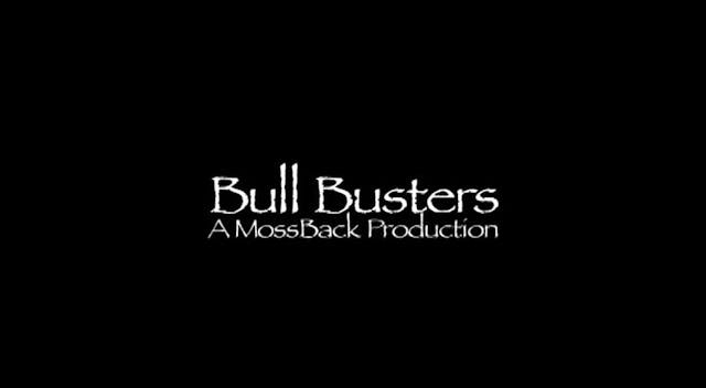 Bull Busters Vol.1