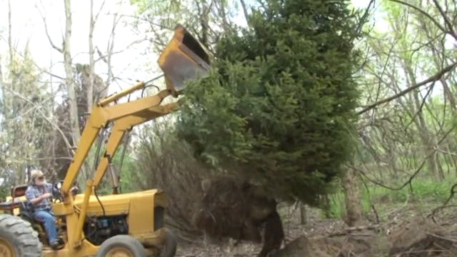 Food Plots and Land Management