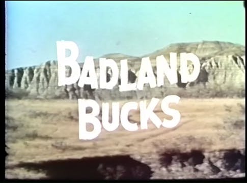 Fred Bear: Badlands Bucks Arrow for a...
