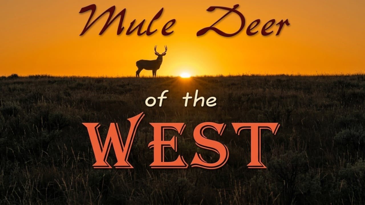Babe Winkelman: Mule Deer of the West