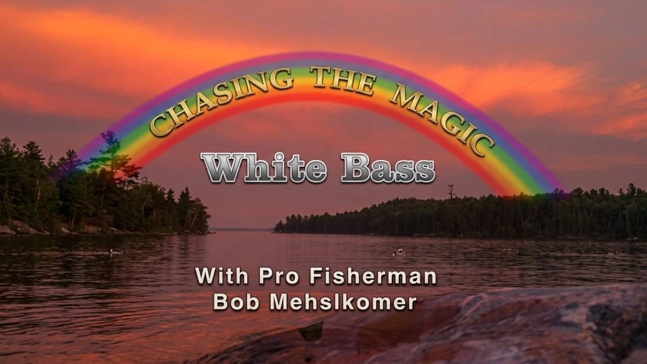 Fishing for White Bass