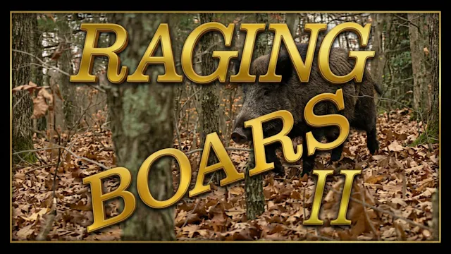 Raging Boars II