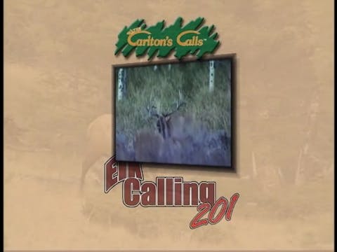 Elk Calling 201: Tips & Tactics