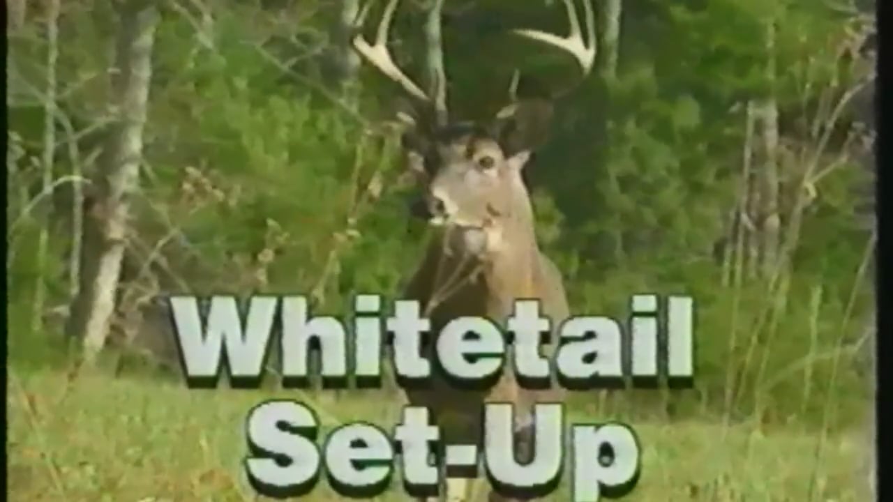 Whitetail Set-Up
