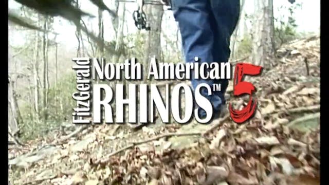 North American Rhinos 5
