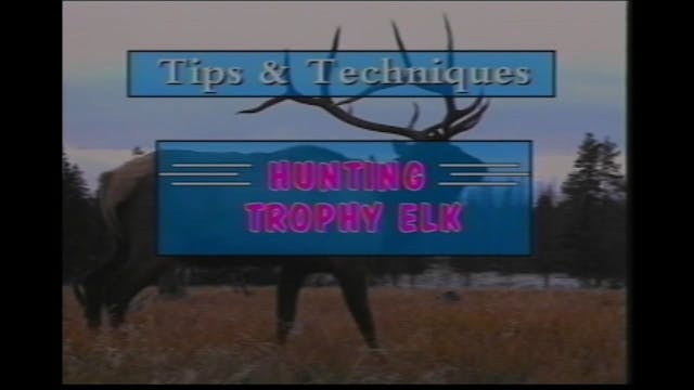 Hunting for Trophy Elk