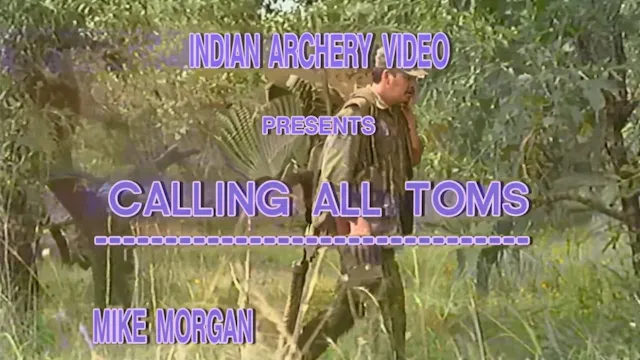Calling All Toms
