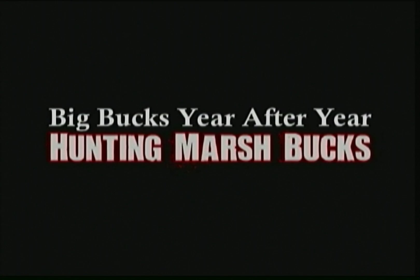 Hunting Marsh Bucks