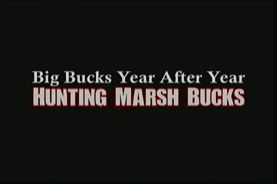 Hunting Marsh Bucks