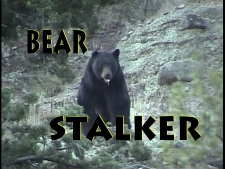 Bear Stalker