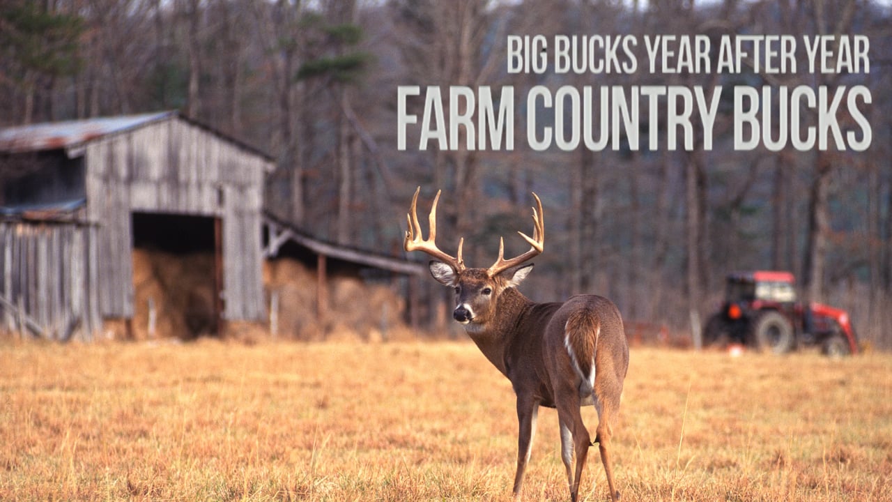 Farm Country Bucks