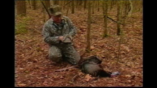 Secrets to Hunting Turkey