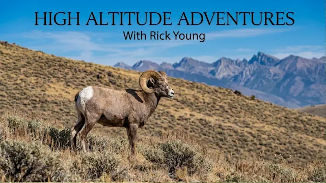 High Altitude Adventures