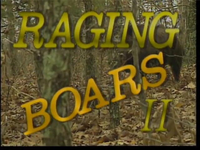 Raging Boars II